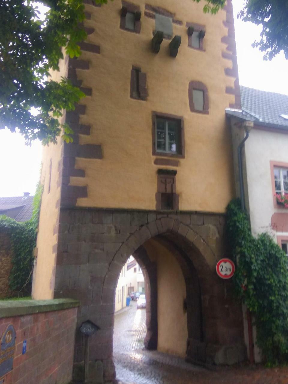 Living In History - Modern Country Cottage Dudeldorf Екстер'єр фото